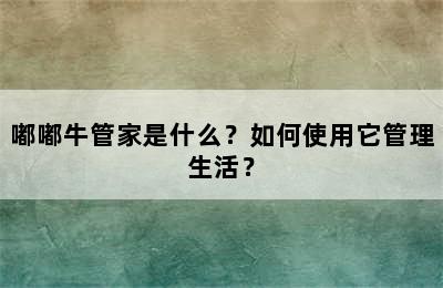 嘟嘟牛管家是什么？如何使用它管理生活？