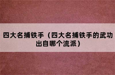 四大名捕铁手（四大名捕铁手的武功出自哪个流派）