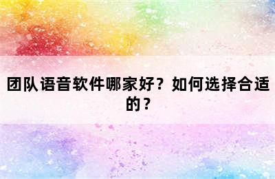 团队语音软件哪家好？如何选择合适的？