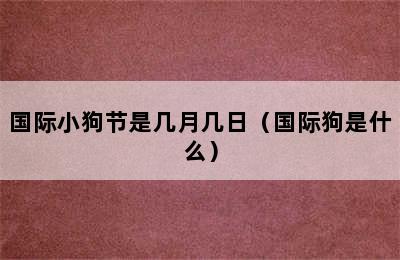 国际小狗节是几月几日（国际狗是什么）