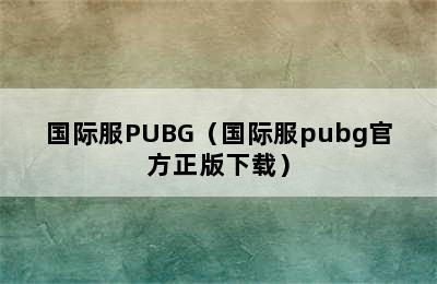 国际服PUBG（国际服pubg官方正版下载）