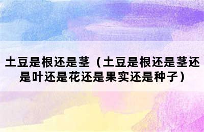 土豆是根还是茎（土豆是根还是茎还是叶还是花还是果实还是种子）