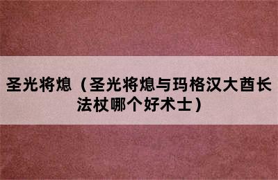 圣光将熄（圣光将熄与玛格汉大酋长法杖哪个好术士）