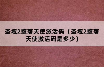 圣域2堕落天使激活码（圣域2堕落天使激活码是多少）