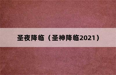 圣夜降临（圣神降临2021）