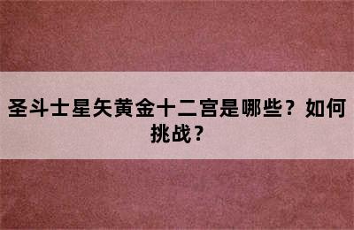 圣斗士星矢黄金十二宫是哪些？如何挑战？