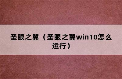 圣眼之翼（圣眼之翼win10怎么运行）