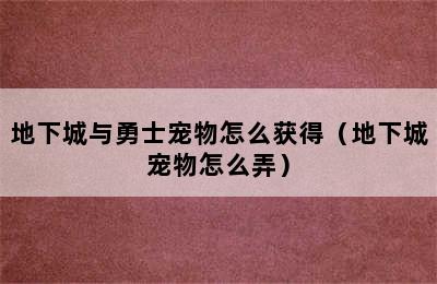 地下城与勇士宠物怎么获得（地下城宠物怎么弄）