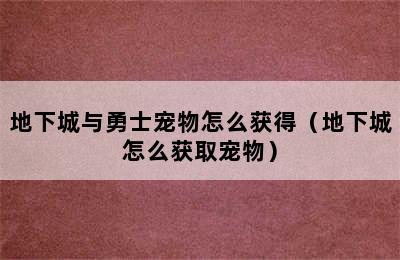 地下城与勇士宠物怎么获得（地下城怎么获取宠物）