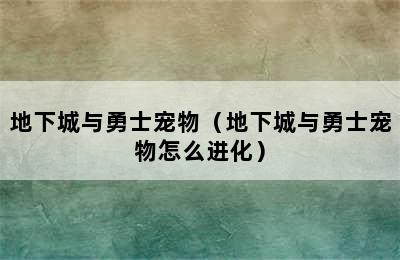 地下城与勇士宠物（地下城与勇士宠物怎么进化）