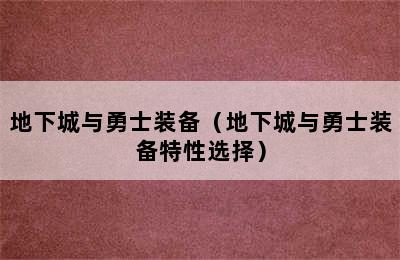 地下城与勇士装备（地下城与勇士装备特性选择）