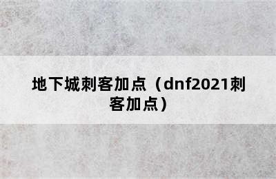 地下城刺客加点（dnf2021刺客加点）