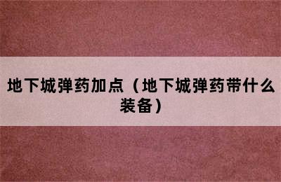 地下城弹药加点（地下城弹药带什么装备）