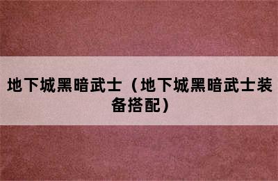 地下城黑暗武士（地下城黑暗武士装备搭配）