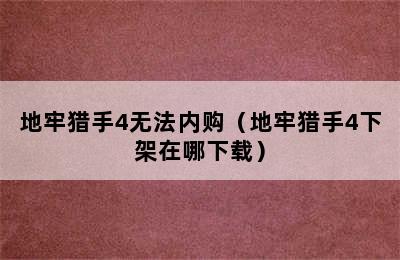 地牢猎手4无法内购（地牢猎手4下架在哪下载）