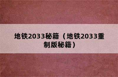 地铁2033秘籍（地铁2033重制版秘籍）