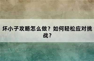 坏小子攻略怎么做？如何轻松应对挑战？