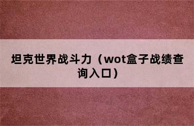 坦克世界战斗力（wot盒子战绩查询入口）