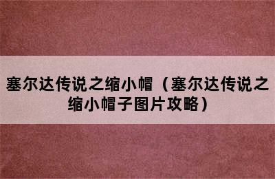 塞尔达传说之缩小帽（塞尔达传说之缩小帽子图片攻略）