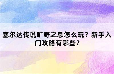 塞尔达传说旷野之息怎么玩？新手入门攻略有哪些？