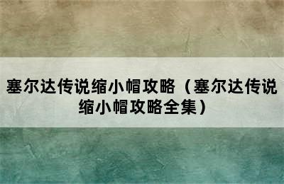 塞尔达传说缩小帽攻略（塞尔达传说缩小帽攻略全集）