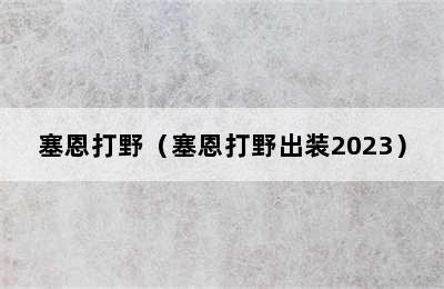 塞恩打野（塞恩打野出装2023）