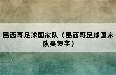 墨西哥足球国家队（墨西哥足球国家队吴镇宇）