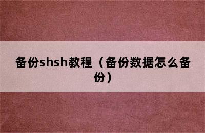 备份shsh教程（备份数据怎么备份）