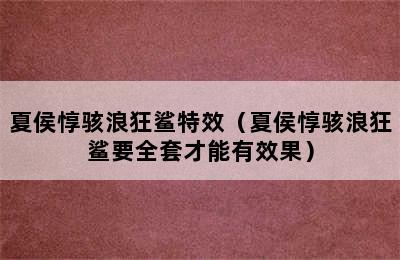 夏侯惇骇浪狂鲨特效（夏侯惇骇浪狂鲨要全套才能有效果）