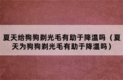 夏天给狗狗剃光毛有助于降温吗（夏天为狗狗剃光毛有助于降温吗）