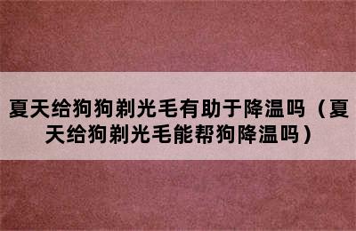 夏天给狗狗剃光毛有助于降温吗（夏天给狗剃光毛能帮狗降温吗）