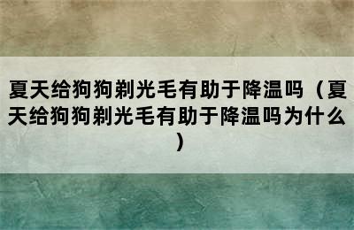 夏天给狗狗剃光毛有助于降温吗（夏天给狗狗剃光毛有助于降温吗为什么）