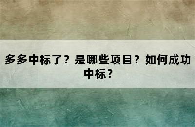 多多中标了？是哪些项目？如何成功中标？