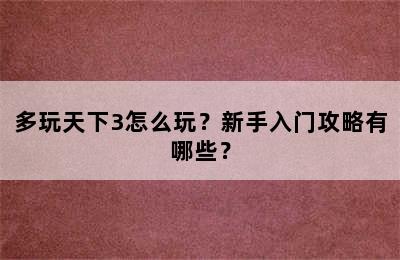 多玩天下3怎么玩？新手入门攻略有哪些？