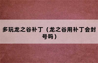 多玩龙之谷补丁（龙之谷用补丁会封号吗）