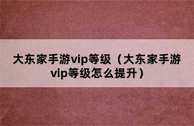 大东家手游vip等级（大东家手游vip等级怎么提升）