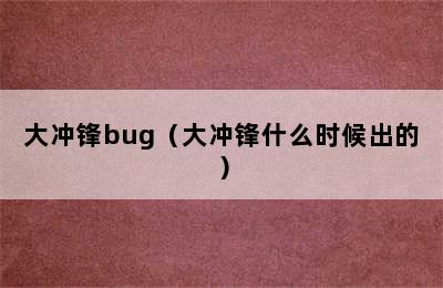 大冲锋bug（大冲锋什么时候出的）