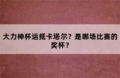 大力神杯运抵卡塔尔？是哪场比赛的奖杯？