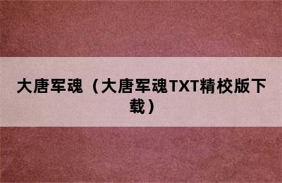 大唐军魂（大唐军魂TXT精校版下载）