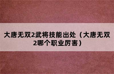 大唐无双2武将技能出处（大唐无双2哪个职业厉害）