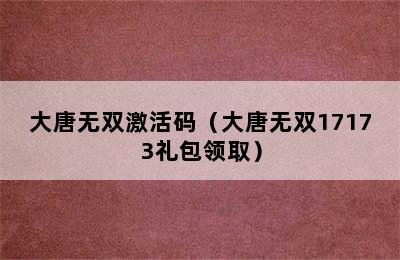 大唐无双激活码（大唐无双17173礼包领取）