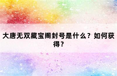 大唐无双藏宝阁封号是什么？如何获得？