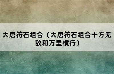 大唐符石组合（大唐符石组合十方无敌和万里横行）