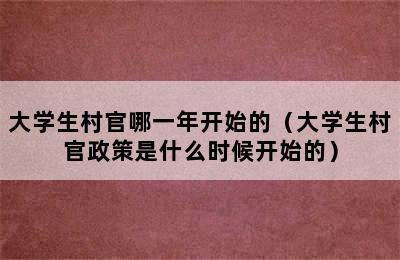 大学生村官哪一年开始的（大学生村官政策是什么时候开始的）