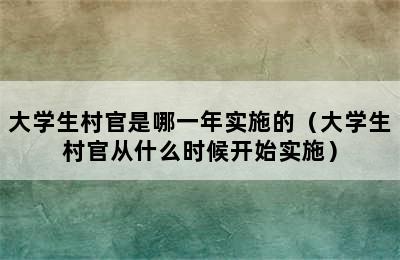 大学生村官是哪一年实施的（大学生村官从什么时候开始实施）