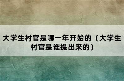 大学生村官是哪一年开始的（大学生村官是谁提出来的）