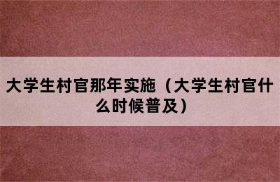 大学生村官那年实施（大学生村官什么时候普及）