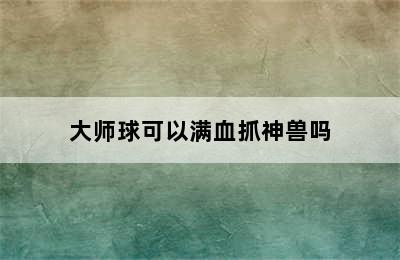 大师球可以满血抓神兽吗