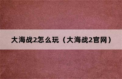 大海战2怎么玩（大海战2官网）