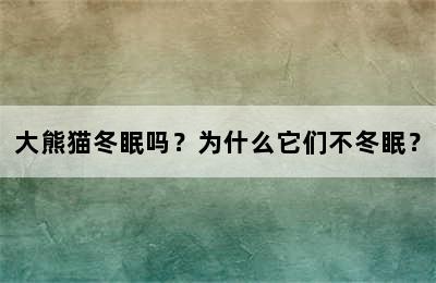 大熊猫冬眠吗？为什么它们不冬眠？